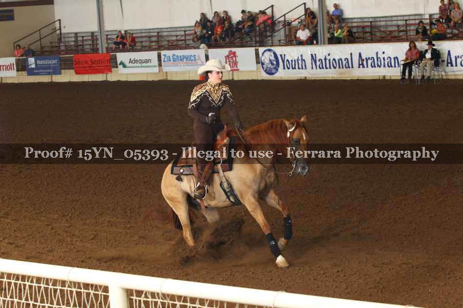 Proof 15YN_05393