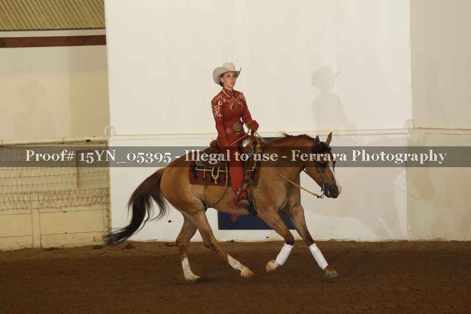 Proof 15YN_05395