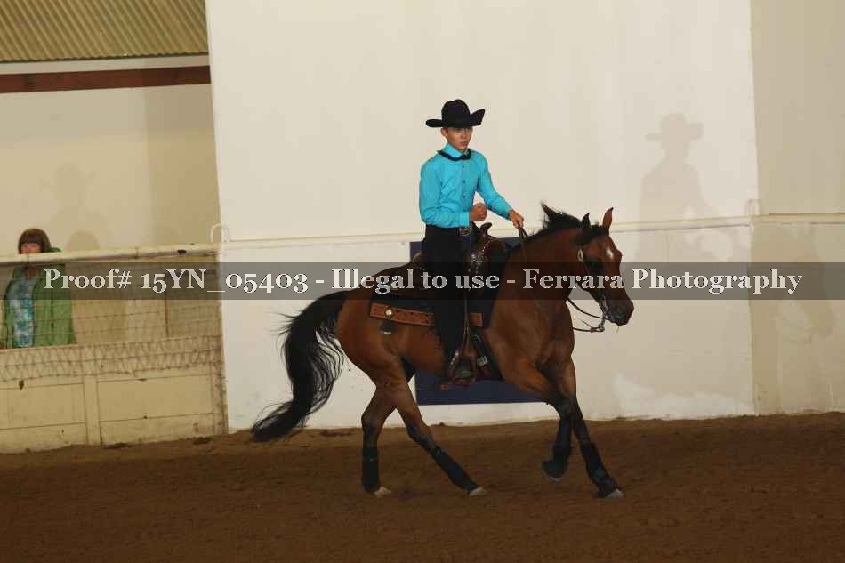 Proof 15YN_05403
