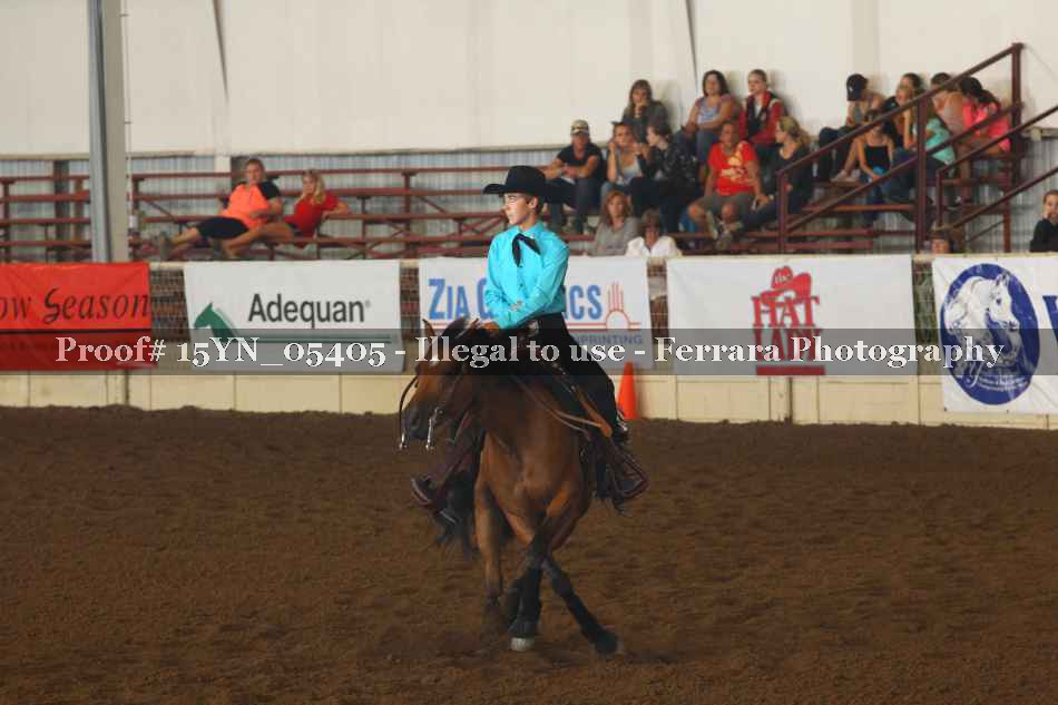 Proof 15YN_05405