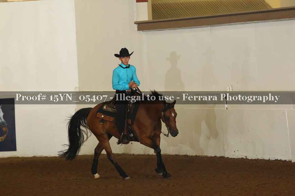 Proof 15YN_05407