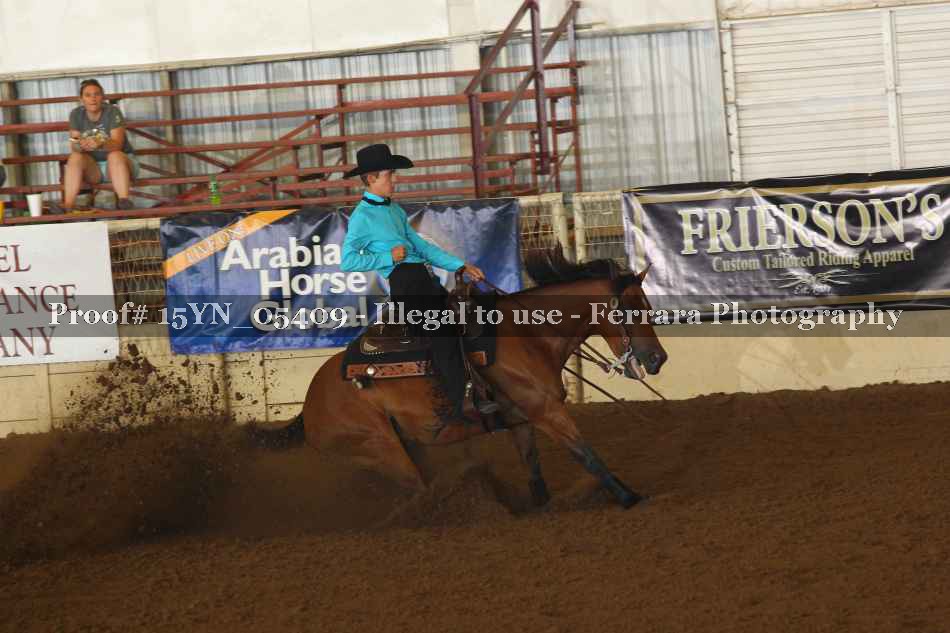 Proof 15YN_05409