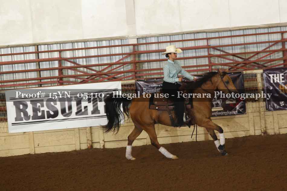 Proof 15YN_05410