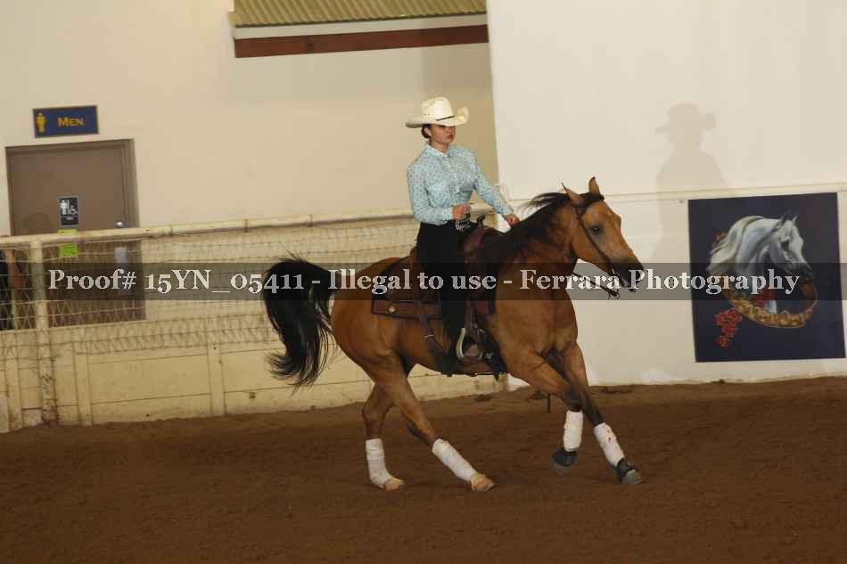 Proof 15YN_05411