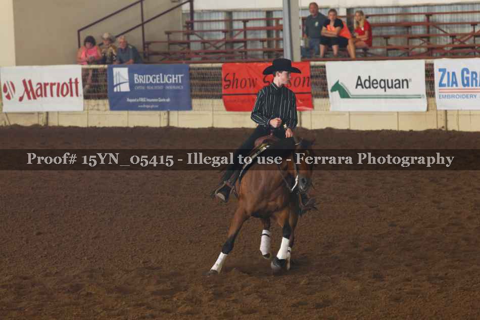 Proof 15YN_05415