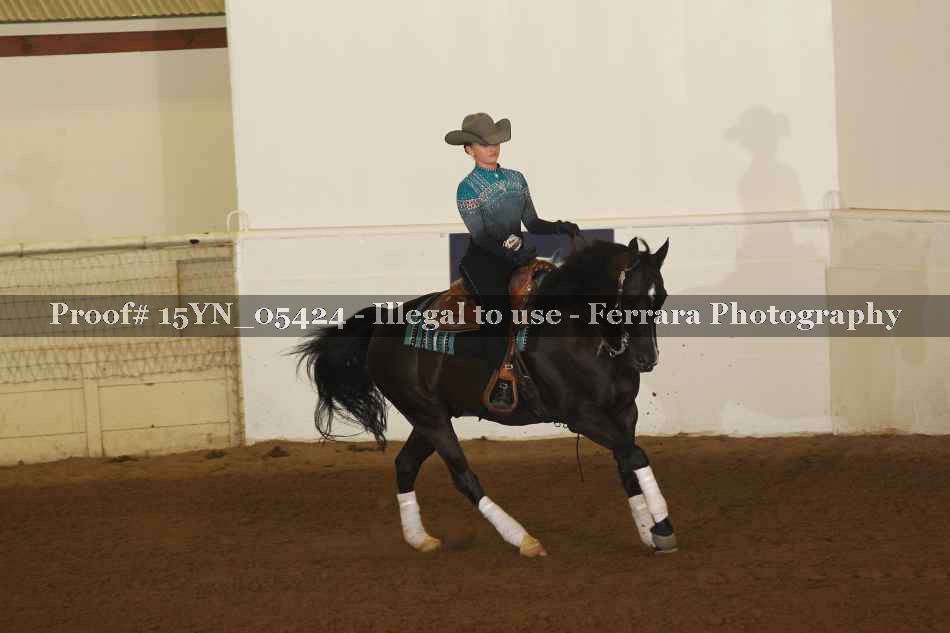Proof 15YN_05424