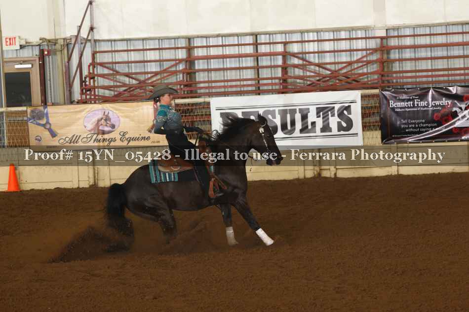 Proof 15YN_05428