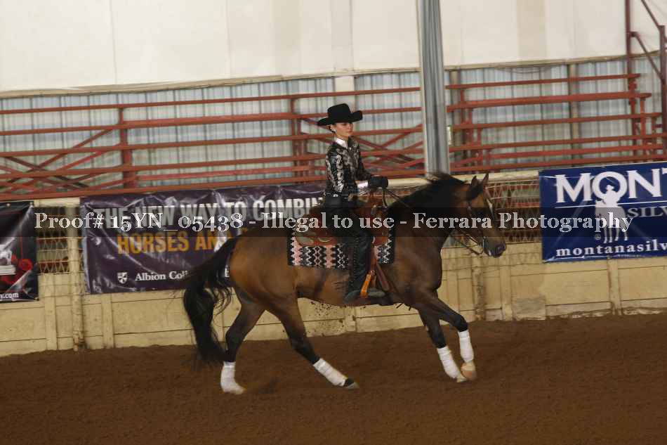 Proof 15YN_05438