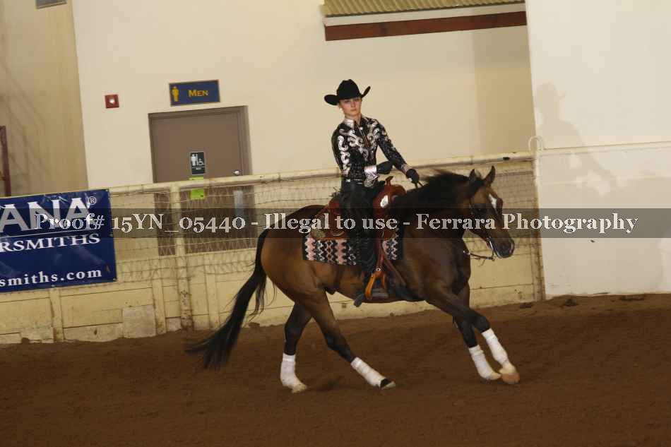 Proof 15YN_05440