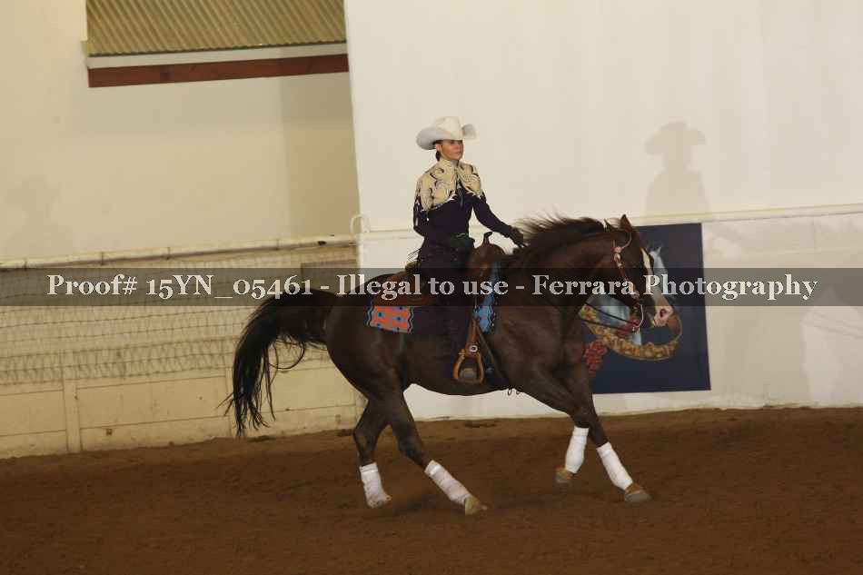 Proof 15YN_05461