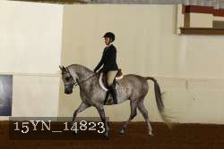 15YN_14823 proof