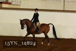 15YN_14824 proof