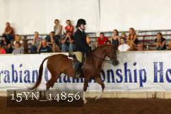 15YN_14856 proof