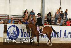 15YN_15210 proof