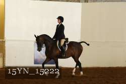 15YN_15222 proof