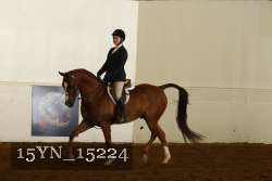 15YN_15224 proof