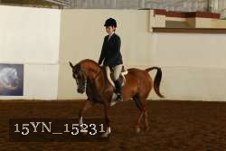 15YN_15231 proof