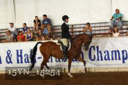 15YN_15254 proof