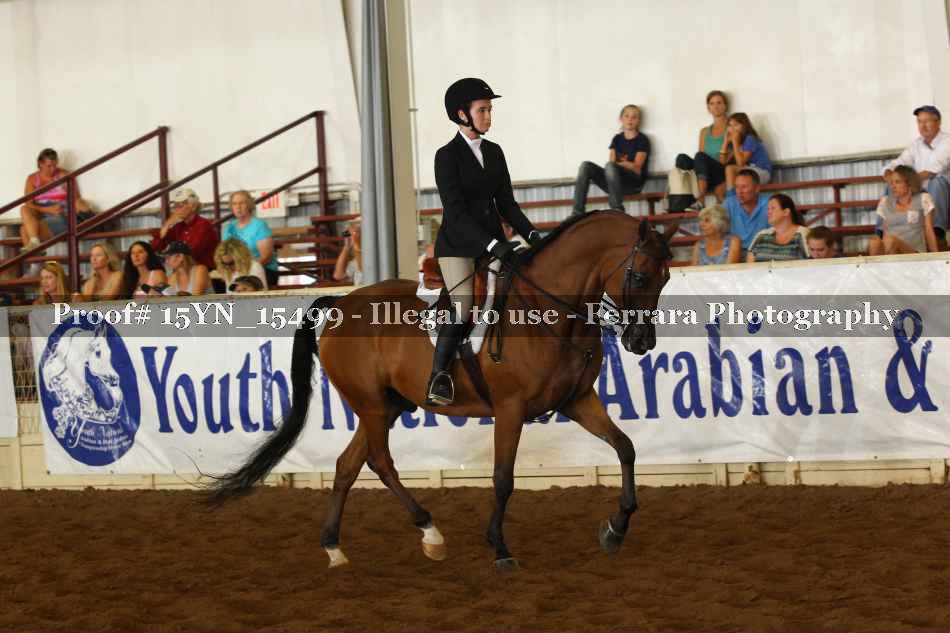 Proof 15YN_15499