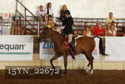 15YN_22672 proof