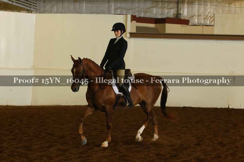 Proof 15YN_16045