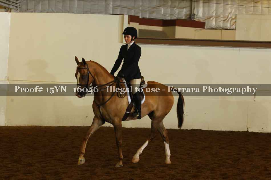 Proof 15YN_16046