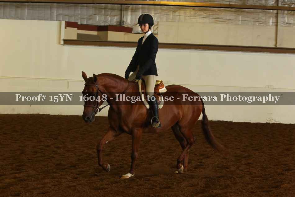 Proof 15YN_16048