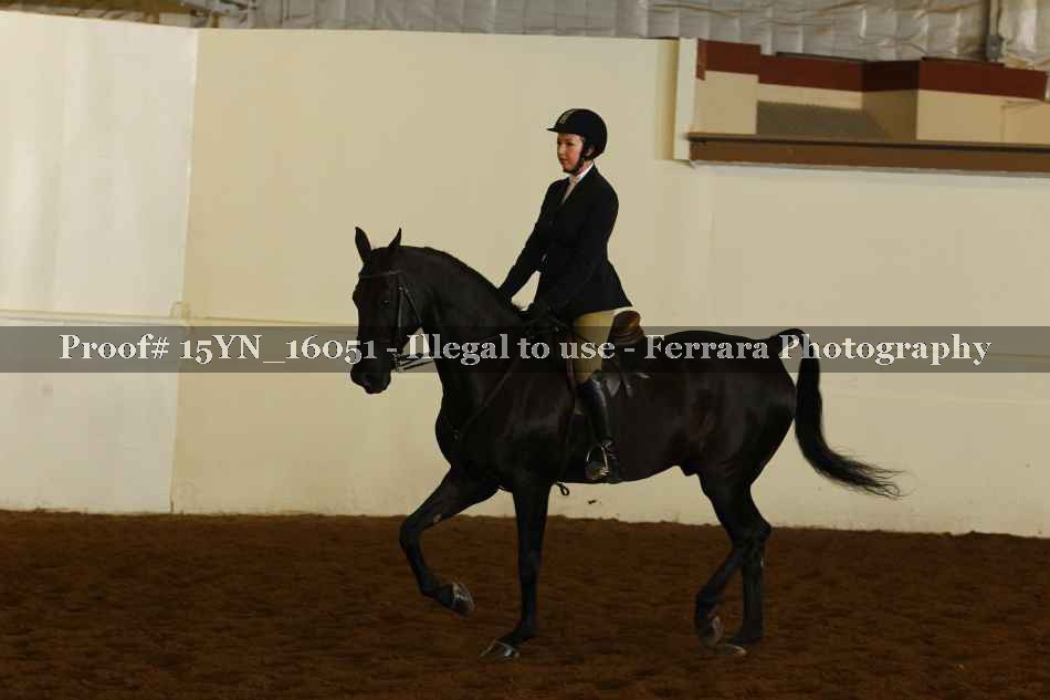 Proof 15YN_16051
