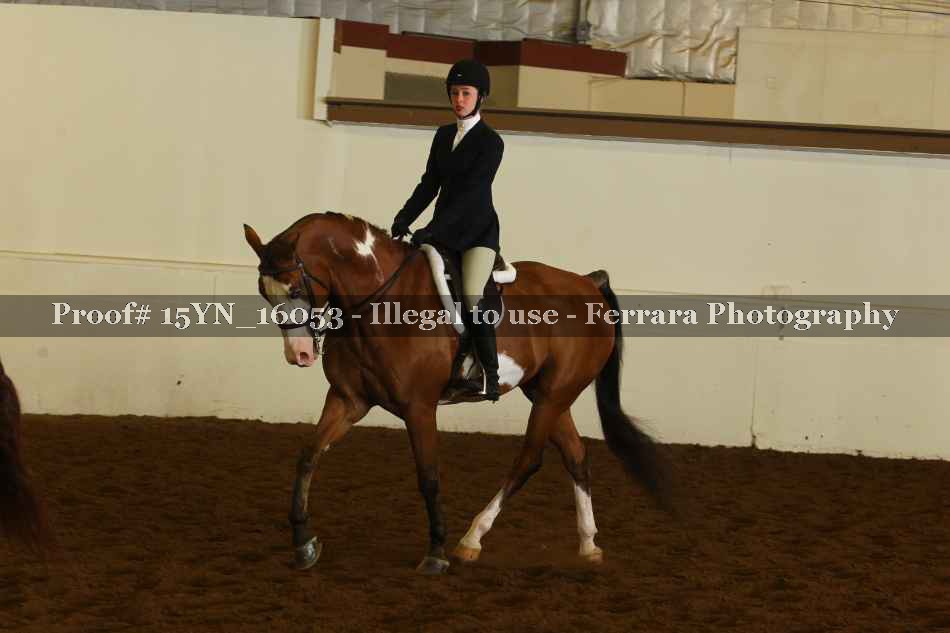 Proof 15YN_16053
