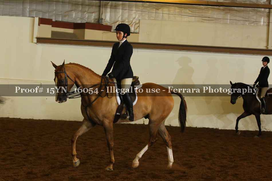 Proof 15YN_16054