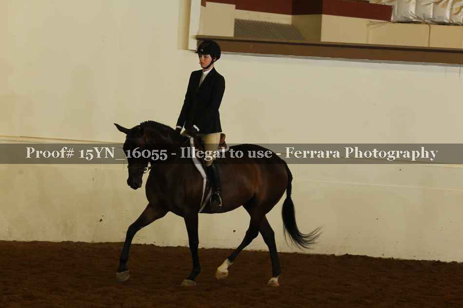 Proof 15YN_16055