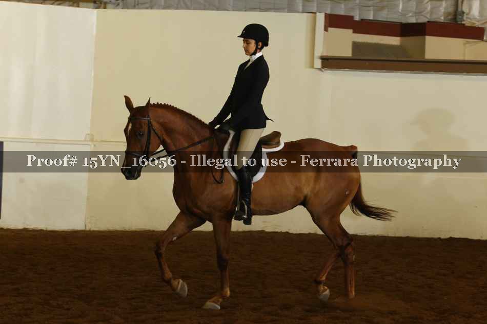 Proof 15YN_16056