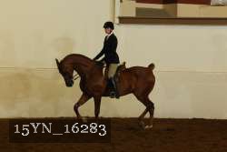 15YN_16283 proof