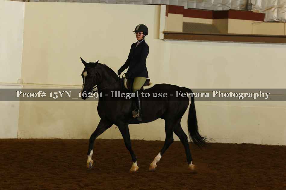 Proof 15YN_16291