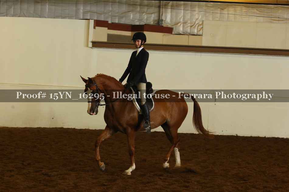 Proof 15YN_16295