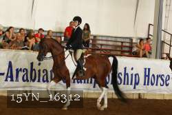 15YN_16312 proof