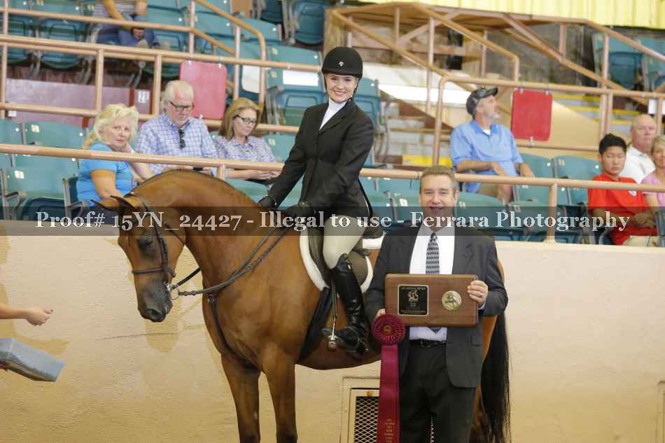 Proof 15YN_24427