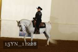 15YN_11228 proof