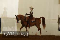 15YN_11234 proof