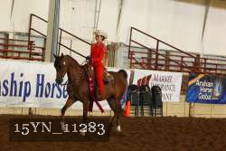 15YN_11283 proof