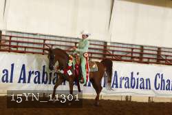 15YN_11301 proof