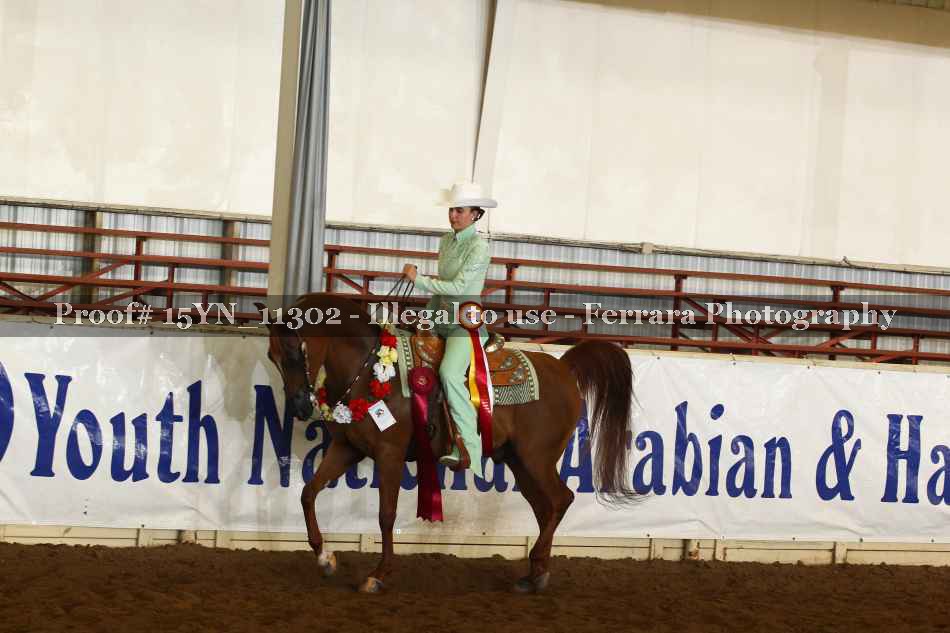 Proof 15YN_11302