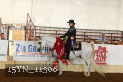 15YN_11306 proof