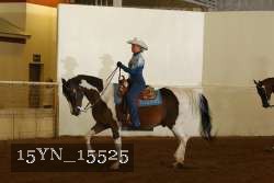 15YN_15525 proof