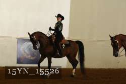 15YN_15526 proof