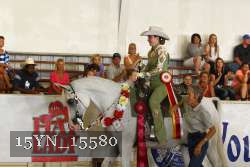15YN_15580 proof