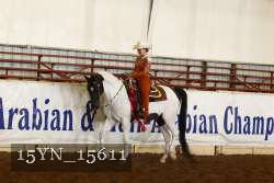 15YN_15611 proof