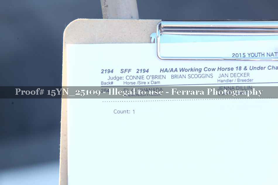 Proof 15YN_25109