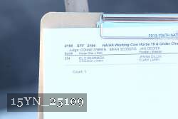 15YN_25109 proof