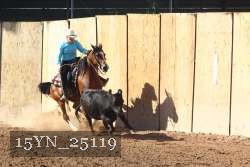 15YN_25119 proof